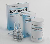 A03.AGENTES PADECIMIENTOS FUNCIONALES ESTÓMAGO E INTESTINO