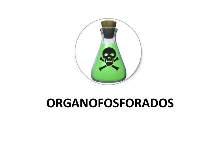 Uso de oximas en la intoxicación por organofosforados