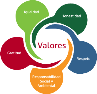 La cultura profesional y la educación en valores en el ingeniero