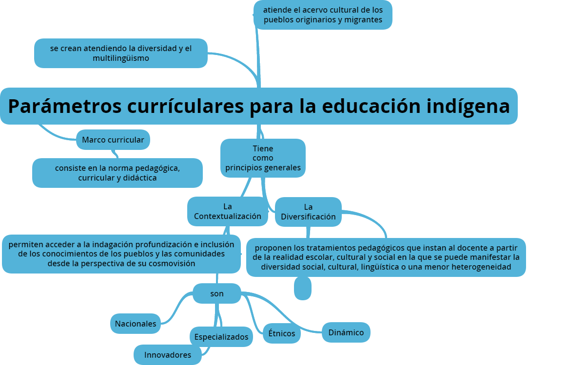 Parámetros currículares para la educación indígena