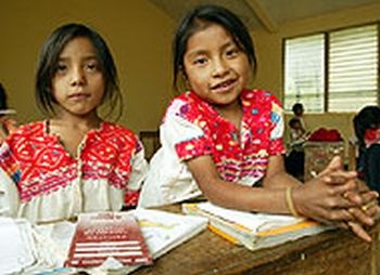 Parámetros curriculares para la Educación Indígena