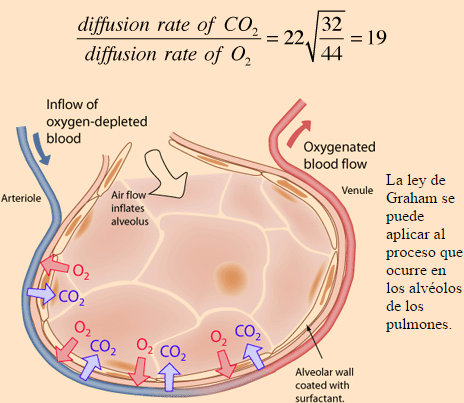 Ley de difusión de los gases o ley de Graham.