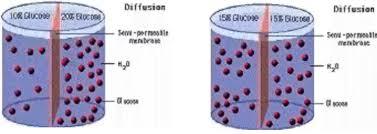 Ley de difusión de los gases o ley de Graham.