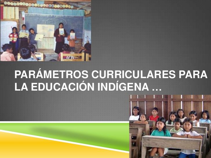 Parámetros Curriculares para la educación indígena