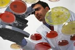 Técnicas de Investigaciones aplicadas a los délitos de Delincuencia Organizada