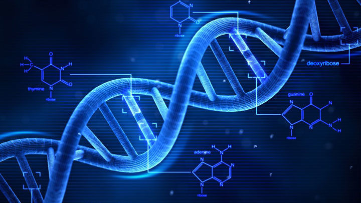 Técnicas de Investigaciones Aplicada a Delitos de Delincuencia Organizada