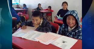 parámetros curriculares para la educación indígena