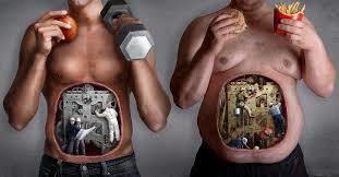 El ser humano dimension biologica y social.