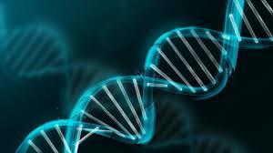 El ser humano dimension biologica y social.