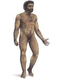 El ser humano dimension biologica y social.
