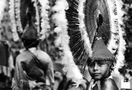 PARAMETROS CURRICULARES PARA LA EDUCACIÓN INDIGENA
