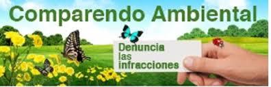 MAL USO DEL AGUA EN MI COMUNIDAD