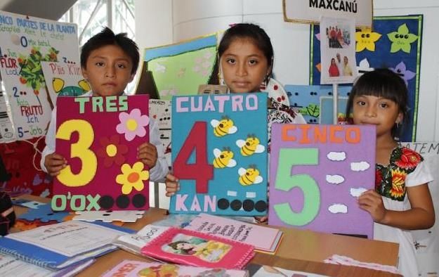 Parámetros Curriculares para la educación indígena