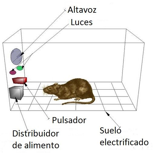 Aportes a la psicologia