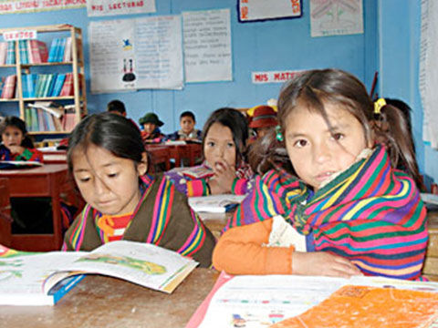 Parametros curriculares para la educacion indigena