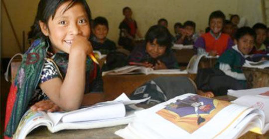 Parametros curriculares para la educacion indigena