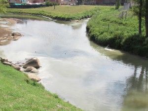 Contaminación por vertimiento de aguas residuales al Río Negro