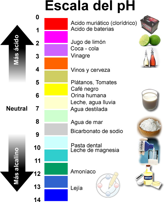 Potencial Hidrògeno (pH)