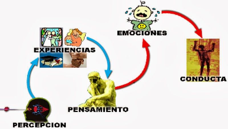Aportes a la psicología Ramas y exponentes