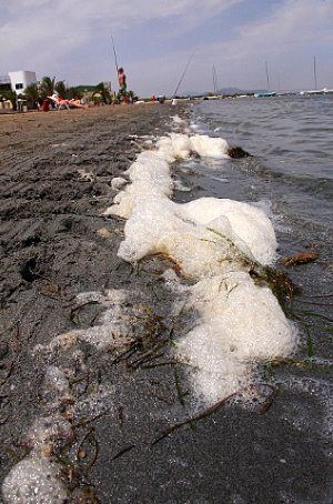 Contaminación Ambiental del mar y su playas