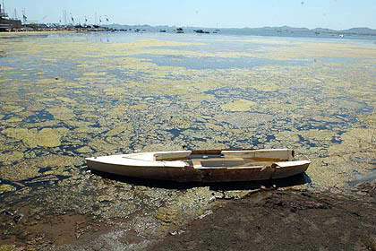 Contaminación Ambiental del mar y su playas