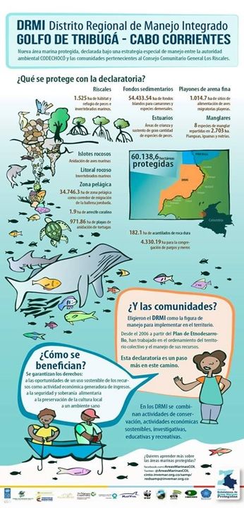 ACTORES DEL DRMI TRIBUGA CABO CORRIENTES