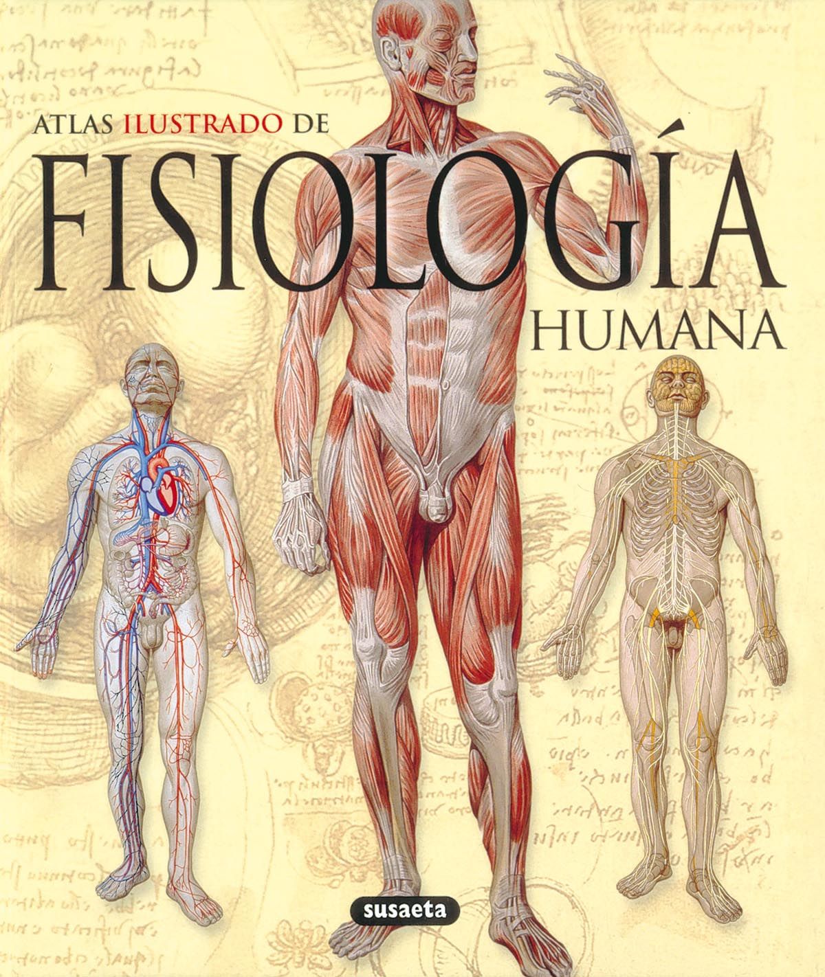 Aportes de la filosofía, fisilogía y la biología a la psicología con imgenes