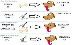 TEORÍA DE PAVLOV CONDICIONAMIENTO CLASICO