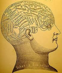 Aportes de la Filosofía, Fisiología y Biología a la Psicologia