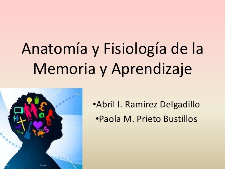 Mapa mental filosofia,fisiologia y biologia ala psicologia