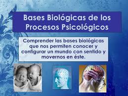Mapa mental filosofia,fisiologia y biologia ala psicologia