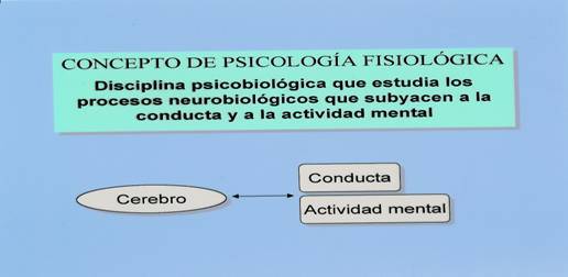 Mapa mental filosofia,fisiologia y biologia ala psicologia