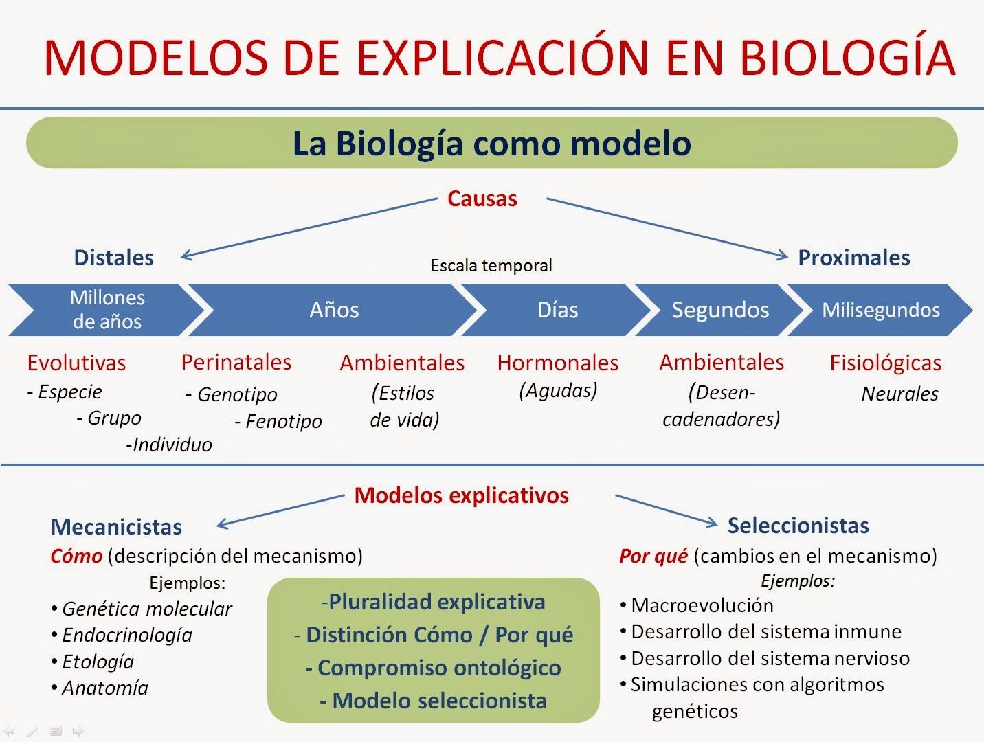 Mapa mental filosofia,fisiologia y biologia ala psicologia