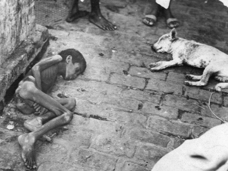 ¿El desperdicio de comida alcanzará para alimentar a los moribundos por hambruna del mundo?