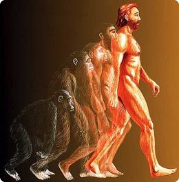 BIOLOGIA DEL DESARROLLO HUMANO (perspectivas