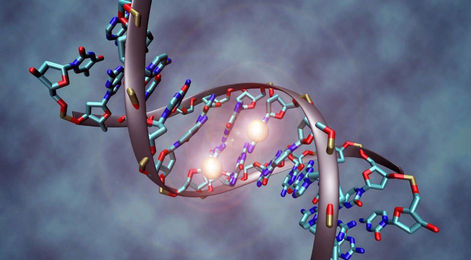 BIOLOGIA DEL DESARROLLO HUMANO (perspectivas