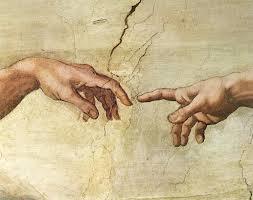 BIOLOGIA DEL DESARROLLO HUMANO (perspectivas