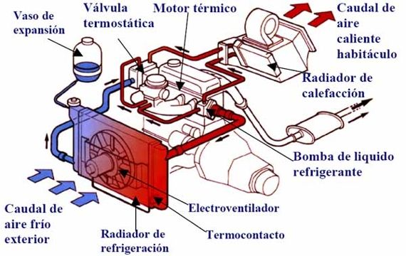 LAS PASANTÍAS EN EL MUNDO AUTOOMTRÍZ