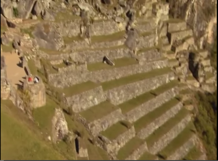 MACHU PICCHU "MONTAÑA VIEJA"
