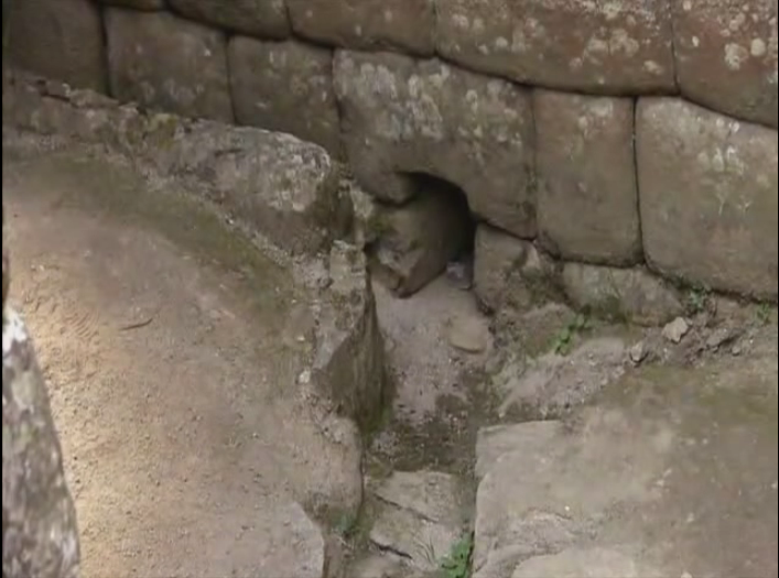 MACHU PICCHU "MONTAÑA VIEJA"