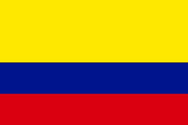 Competencias para el Manejo de la Información (CMI)