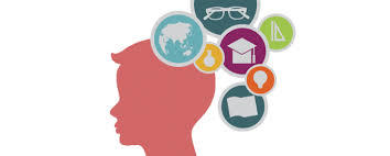 ¿QUÉ ES COMPETENCIA PARA MANEJAR INFORMACIÓN (CMI)?