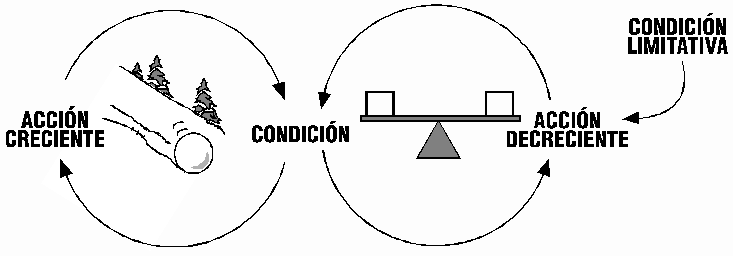 El concepto de desarrollo sustentable treinta años después