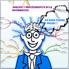 Competencias para el manejo de la información