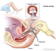 líneas de acción del estado para trabajar la salud sexual y reproductiva