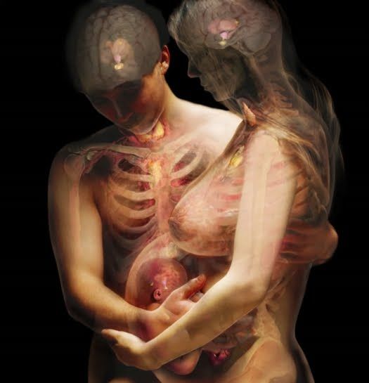 POLITICA NACIONALDE LA SALUD SEXUAL Y REPROCUCTIVA