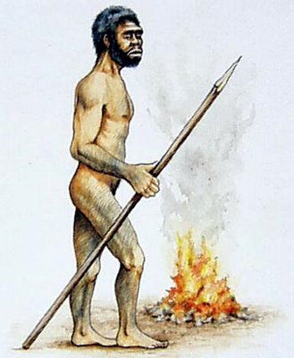 Etapas de la evolución del Hombre
