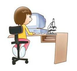 Ambientes virtuales y sistema de gestión de aprendizaje