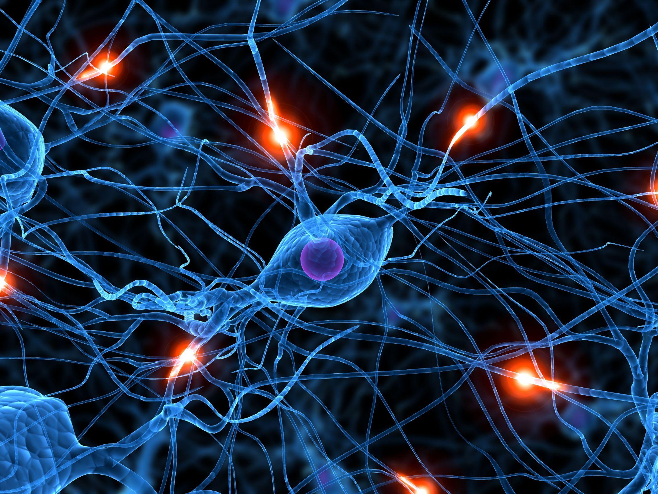 La fisica y su relacion con otras ciencias
