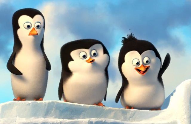 UN PAVO REAL EN EL REINO DE LOS PINGÜINOS